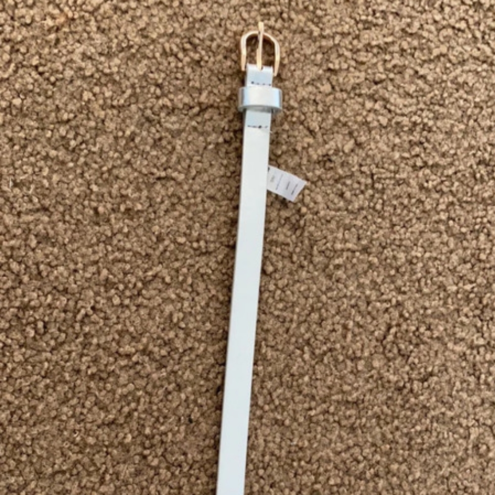 Silver thin belt